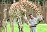 Những ca khó ở “kỳ quan hoang dã” hơn 500 ha Vinpearl Safari Phú Quốc