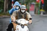 Dự báo thời tiết 1/11/2025: Không khí lạnh bao trùm miền Bắc, Trung Bộ mưa lớn