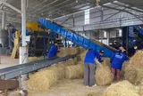 Thu mua rơm làm 50.000-60.000 tấn 'bánh rơm' vừa cho chăn nuôi, vừa bảo vệ môi trường