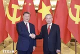 Tổng Bí thư, Chủ tịch Trung Quốc Tập Cận Bình chúc mừng Tổng Bí thư, Chủ tịch nước Tô Lâm
