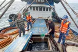 Cảnh sát biển thu giữ hơn 2 triệu lít dầu trái phép