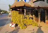 Giá sầu riêng rớt nhưng bạn đọc nói chưa bao giờ mua được giá rẻ