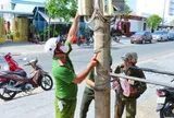 TP Hồ Chí Minh mở chiến dịch 45 ngày xóa quảng cáo bẩn, truy tín dụng đen