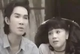 Diễn lại Cung đàn nước mắt, nhớ Vũ Linh, Phương Hồng Thủy hơn 30 năm trước