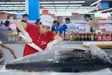 Từ khoản lỗ 3.700 tỷ đến kế hoạch IPO 10 tỷ USD: WinCommerce làm gì để mở hàng nghìn cửa hàng nhưng không phải “đốt tiền”?