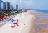 15 Chủ tịch UBND xã, phường, đặc khu làm thành viên một Ban Chỉ đạo vừa thành lập của TPHCM
