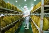 Danh sách mới nhất các phòng kiểm nghiệm Cadimi trong sầu riêng được Trung Quốc công nhận