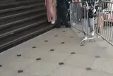 Hai phường lên tiếng về clip gây tranh cãi ở phố đi bộ hồ Hoàn Kiếm