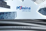 Báo cáo tài chính hé lộ 'mối quan hệ' giữa Vingroup và Pomina