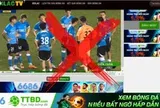 Nhiều vụ bị khởi tố, vì sao hành vi ăn cắp bản quyền ở Việt Nam diễn ra tràn lan?
