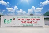 Cầm cố loạt công ty con, BAF vay 1.270 tỷ đồng từ 'đại gia' Hà Lan