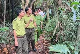 CLIP: Vụ chủ vườn chim "kêu cứu" ở Vĩnh Long: Lực lượng chức năng đến khảo sát