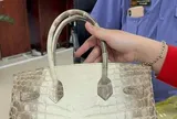 Hai túi Hermès bạch tạng của bà Trương Mỹ Lan được bán hơn 14,1 tỷ đồng