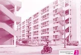 Báo in ngày 24-5: Đắng chát những cuộc tình xuyên biên giới