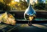 Một trái tim giữa lòng thành phố