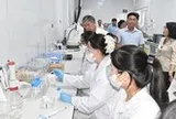 Nghịch lý sầu riêng miền Tây: Vùng nguyên liệu tỉ đô thiếu phòng kiểm nghiệm