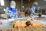 Bộ Nông nghiệp và Môi trường nói gì về phản ánh hồ sơ chứng minh nguồn gốc gỗ chồng chéo
