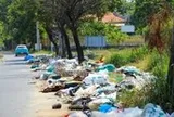 Nhức nhối nạn đổ trộm rác tại một số khu vực ở Đà Nẵng