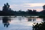 Trưng bày 'Chúng tôi, những dòng sông Nam Bộ' tại
TP.HCM