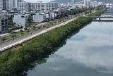 Khánh Hòa: Chi 572 triệu đồng để chặt hàng cây xanh rì dọc sông Quán Trường?