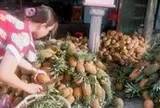 Giá khóm vùng Đồng Tháp Mười chỉ còn 4.500 đồng mỗi ký