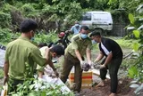 Tây Ninh tiêu hủy 127 kg thằn lằn núi Bà Đen vận chuyển trái phép