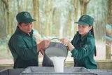 VRG hiện thực hóa mục tiêu tăng trưởng hai con số
