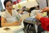 Giữ chân vốn ngoại: Cần công cụ phòng vệ tỉ giá?