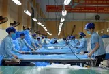 Chỉ còn 15 ngày nữa, doanh nghiệp có nhiều lao động nữ cần đặc biệt lưu ý chính sách này