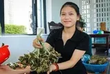 Bánh ú tro Hội An vào mùa, làm đến đâu bán hết đến đó