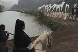 Loạt phim lịch sử sắp đổ bộ, có phim về tình báo, hoàng hậu Nam Phương, chị Võ Thị Sáu, đặc công rừng Sác
