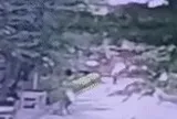 Vụ xô xát vì phí gửi ô tô ở chung cư Hà Nội: Bảo vệ chém tài xế đã ra đầu thú