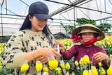 Nông nghiệp chữa lành