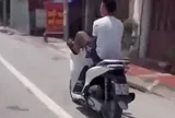 Lái xe SH bằng chân, nam thanh niên ở Ninh Bình bị tịch thu xe
