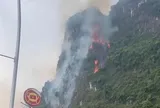Sét đánh gây cháy rừng trong đêm ở Ninh Bình