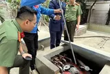 Hà Nội tước quyền phân phối xăng dầu của 2 doanh nghiệp, phạt 270 triệu đồng