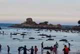 Truy tìm danh tính nhóm người có dấu hiệu tác động đến san hô khu vực biển này ở Nha Trang