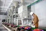 Hóa chất Đức Giang (DGC) muốn chia cổ tức bằng tiền mặt tỷ lệ 80%, lợi nhuận sau thuế quý 2/2026 giảm 50%