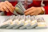 Kiều hối chuyển về TP.HCM 6 tháng đầu năm đạt hơn 4 tỉ USD