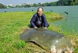 'Nhà rùa học' PGS.TS Hà Đình Đức qua đời