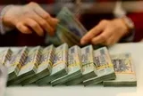 Lợi nhuận doanh nghiệp trên sàn tăng gần 50%, nhóm nào đang kéo cả thị trường?