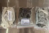 9 chiếc khăn quàng cổ hé mở danh tính liệt sĩ ở công viên Lê Thị Riêng