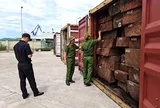 Phát hiện 1,2 tấn ngà voi giấu trong 3 container gỗ ở Gia Lai