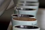'Người hùng thầm lặng' sau tách cà phê đặc sản