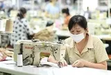 Ách tắc cấp C/O tại địa phương, doanh nghiệp xuất khẩu kiến nghị tháo gỡ khẩn cấp