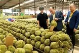 EU sắp siết dư lượng nhiều thuốc bảo vệ thực vật, nông dân, doanh nghiệp xuất khẩu nông sản cần lưu ý gì?