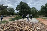 Thanh tra chỉ ra hàng loạt sai phạm, buông lỏng quản lý đất rừng ở Phú Quốc