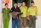 Chim khổng tước quý hiếm bất ngờ bay vào nhà ở Cần Thơ