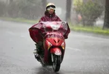 Dự báo thời tiết 29/8/2026: Miền Bắc vẫn mưa to cục bộ, Hà Nội giảm còn 32 độ