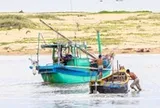 Ngư dân Quảng Trị chật vật tìm đường ra khơi vì cát bồi lấp cửa biển